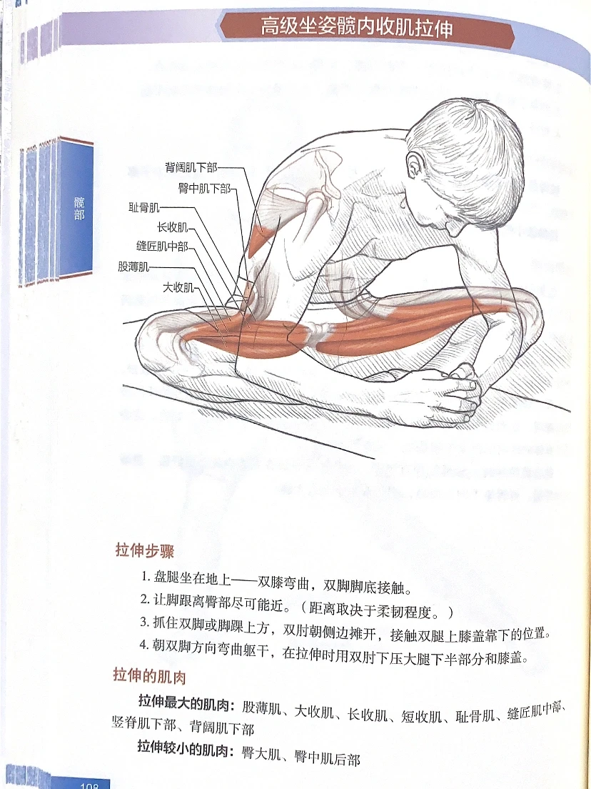 如何减掉大腿内侧赘肉｜拉伸缓解酸痛、紧绷