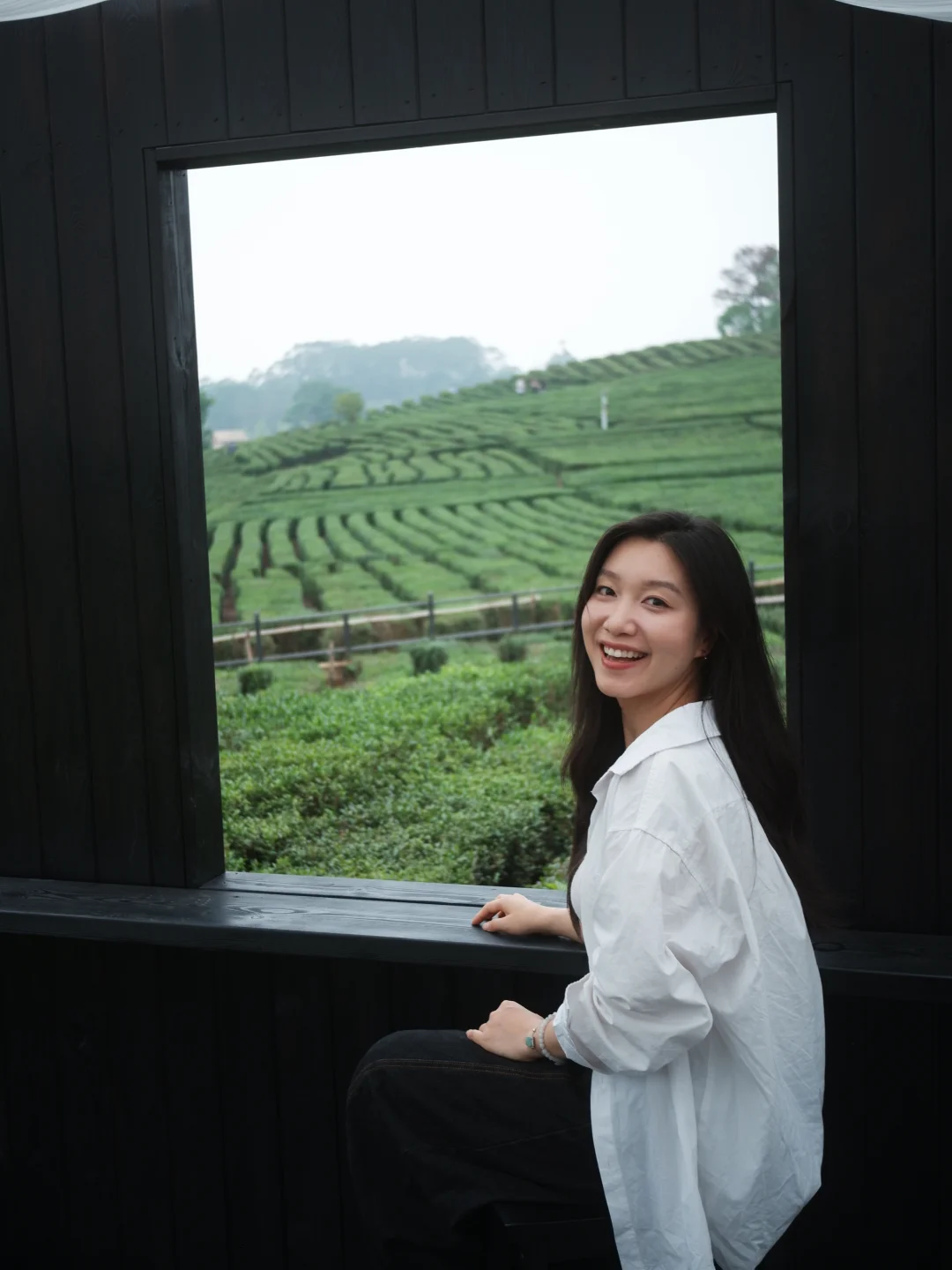 惠州万亩茶园好美 一窗框不住的绿意蔓延🍃