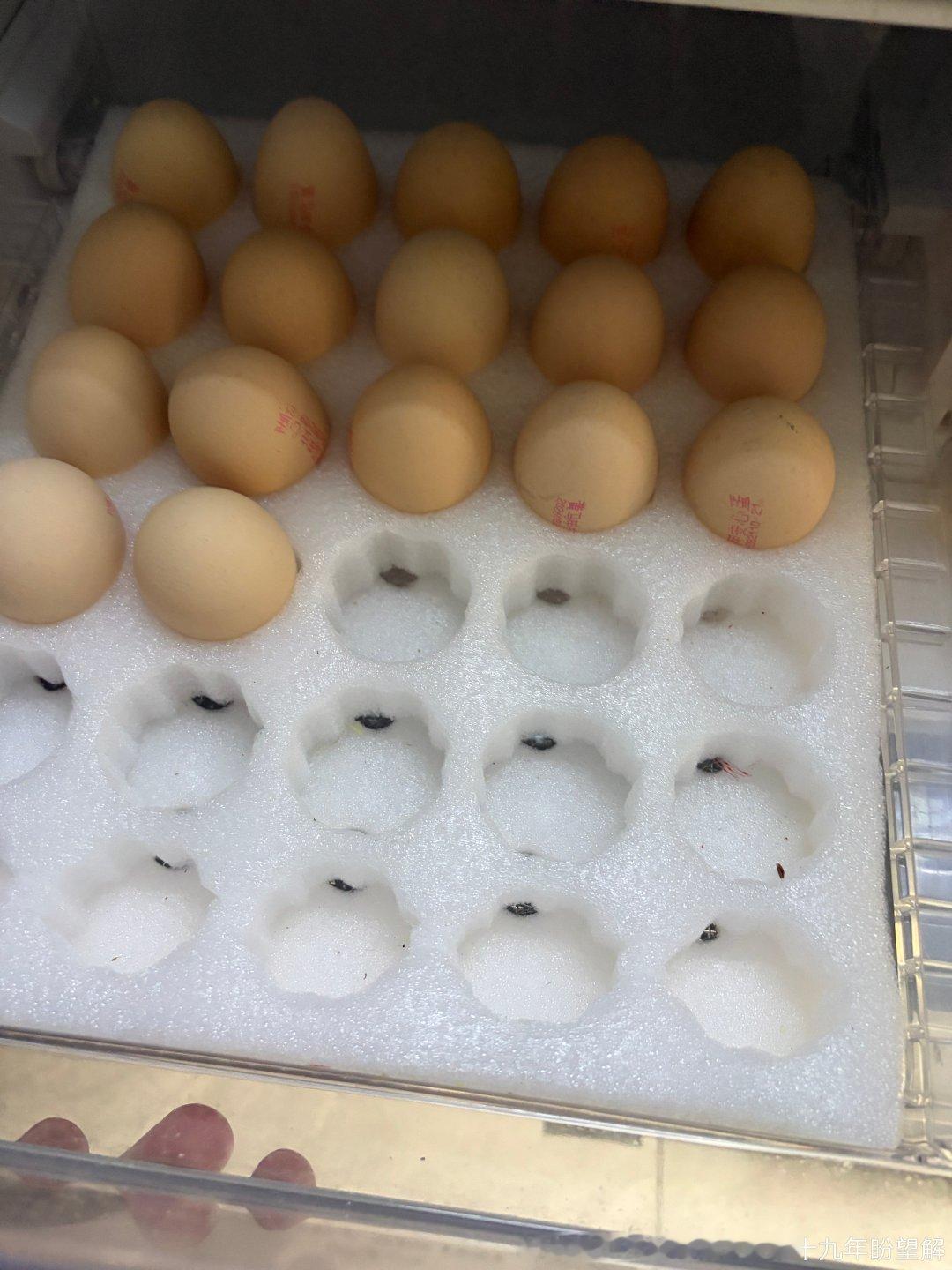 这青椒的袋子上有那天超市的标签，原来这鸡蛋买来还不足一周时间！
此时此刻才明白“胖东来”超市的过人之处…… ​
