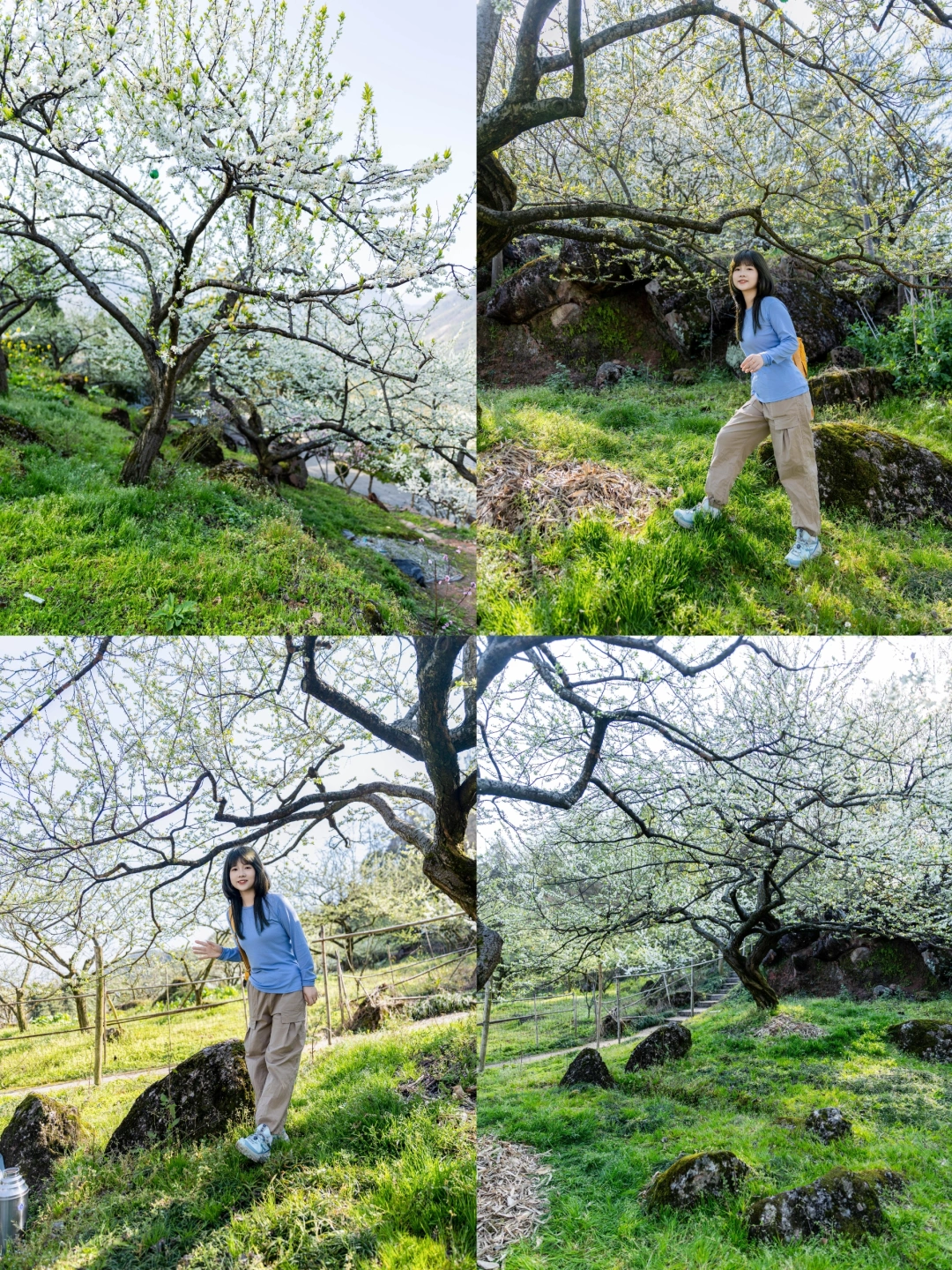 户外徒步‖成都❗在花海里面徒步，我哭了