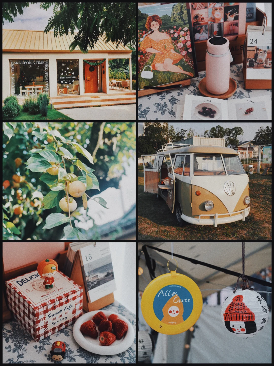 日常记录📝日系胶片电影感滤镜太有质感了