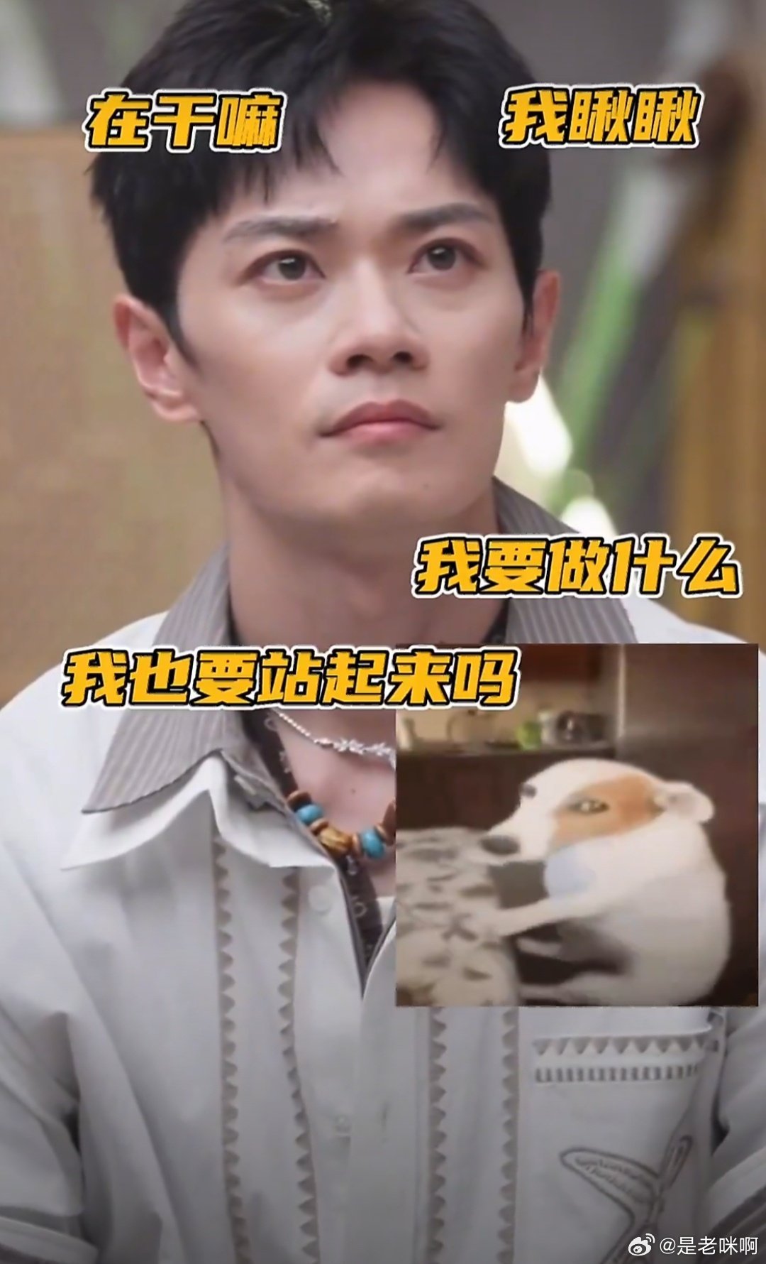 #曹骏[超话]##曹骏不知道张彬彬这是怎么了#我要被曹骏笑死了，小小的脑袋大大的疑问❓❓❓我是谁我在哪我该干啥哈哈哈哈[泪奔] ​