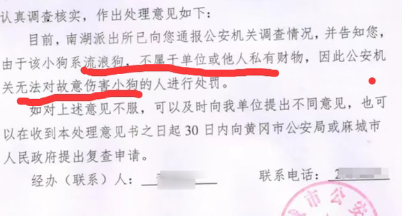 对流浪猫狗采取措施，执法部门无法处罚！