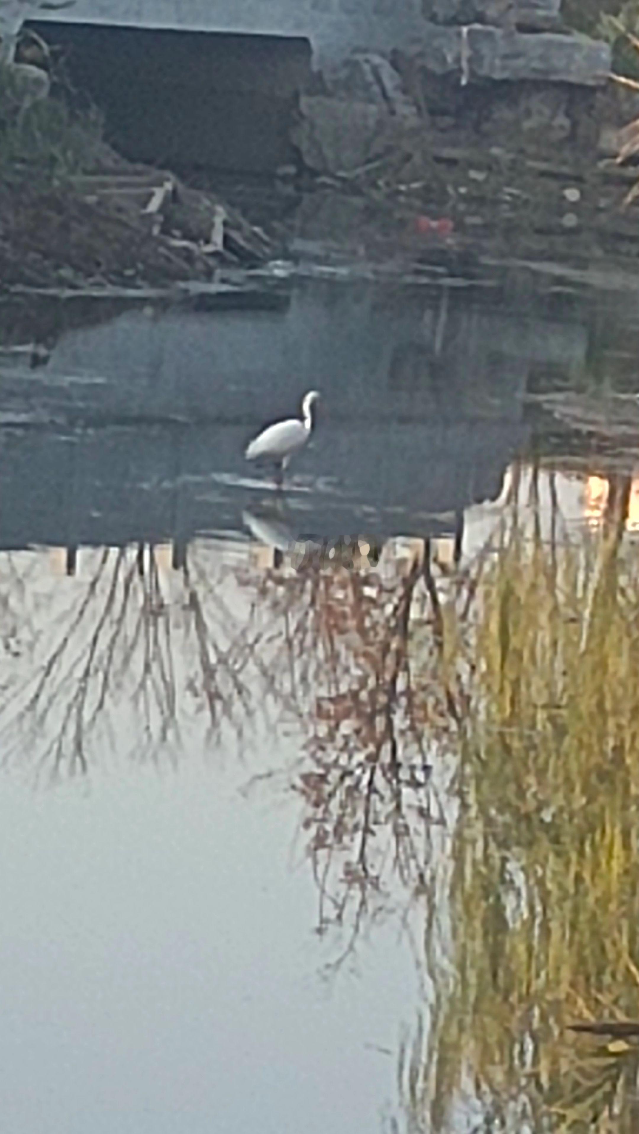 真正的夫妻是彼此理解、相互扶持，在平凡日