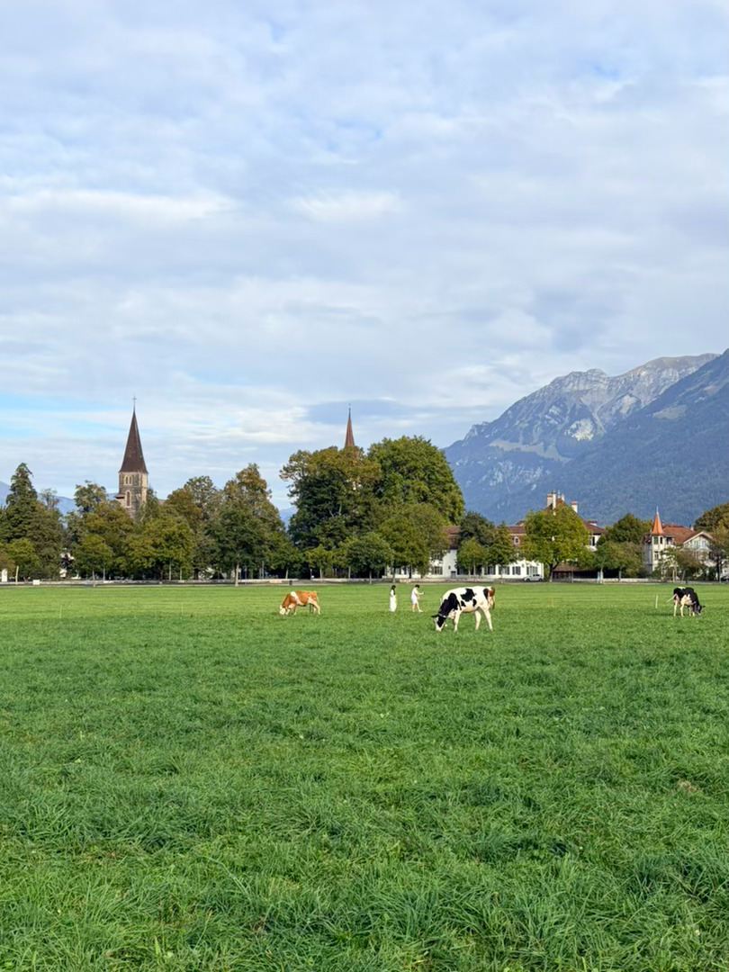 好山好水好瑞士🇨🇭
风景是真的无敌[摸鱼撸猫][摸鱼撸猫]  ​