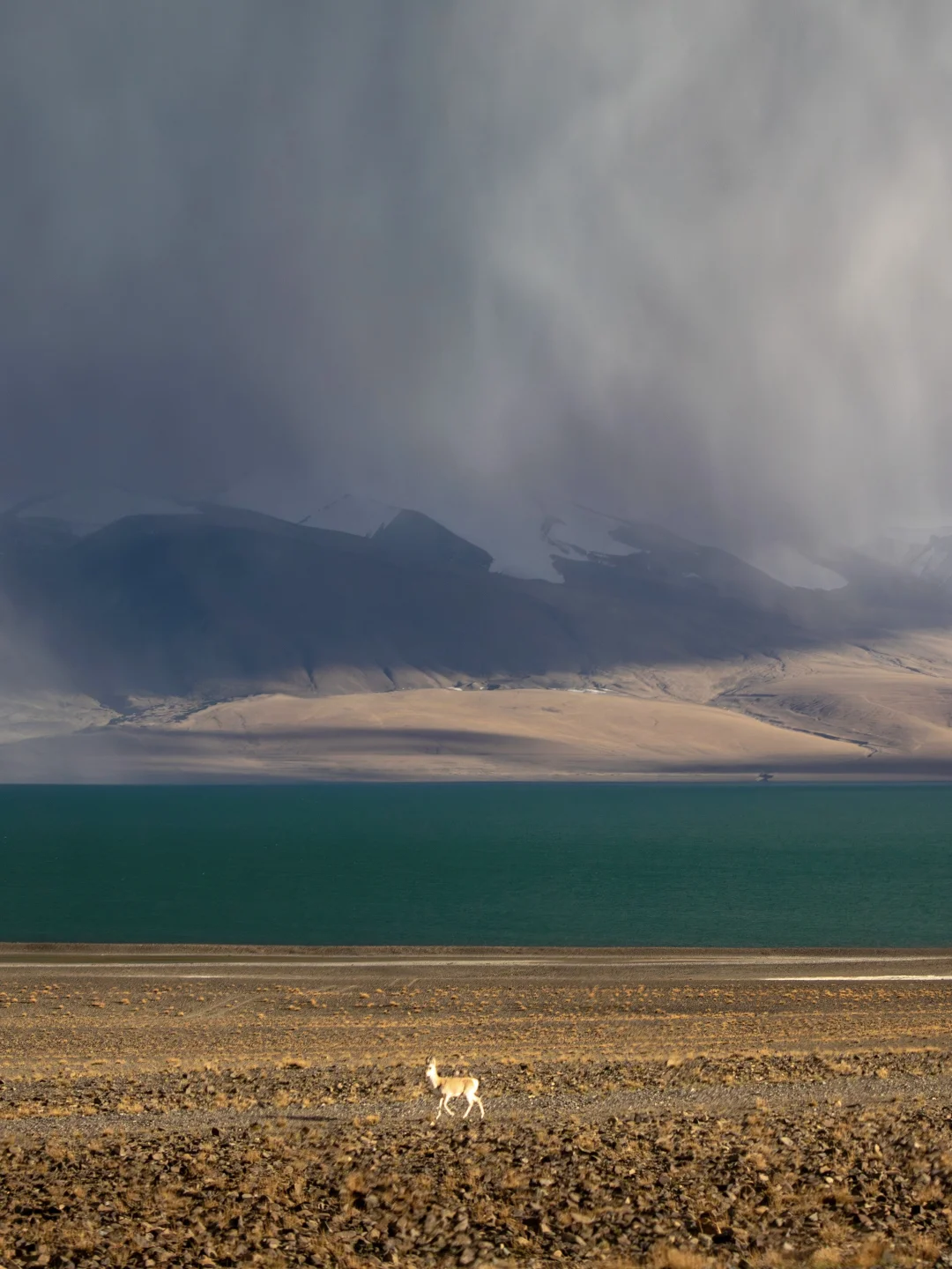 你永远不知道西藏的天空能有多震撼