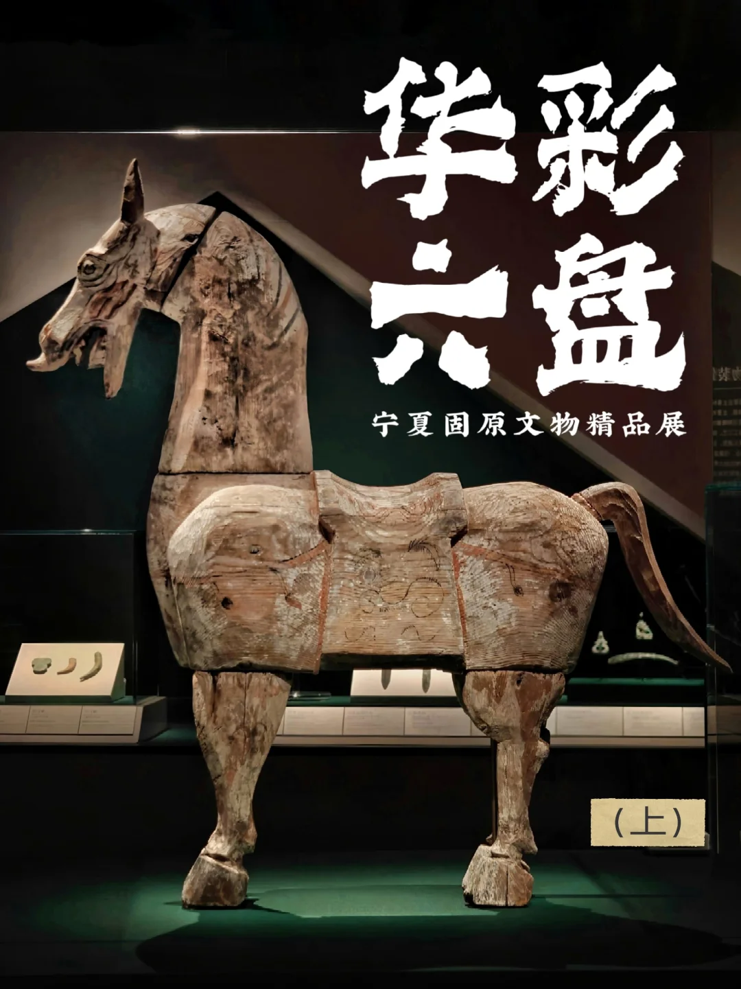 新展细看｜上博固原文物特展（上）