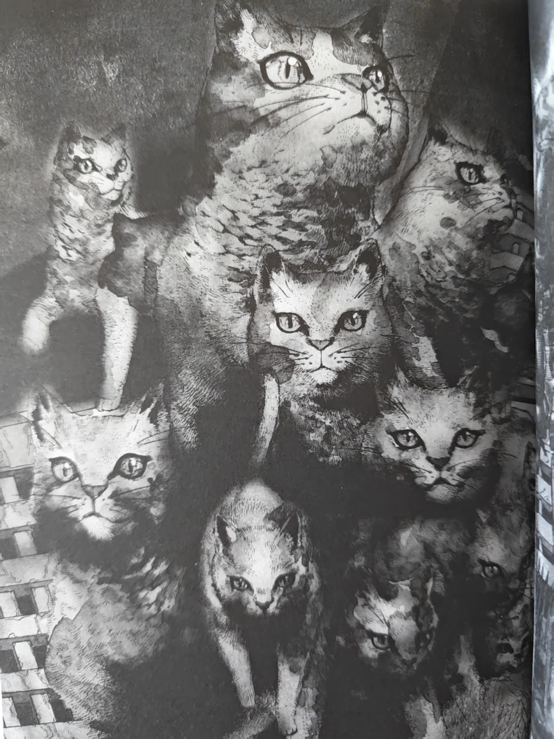 猫奴们颤抖吧！“世界，被猫支配了！”