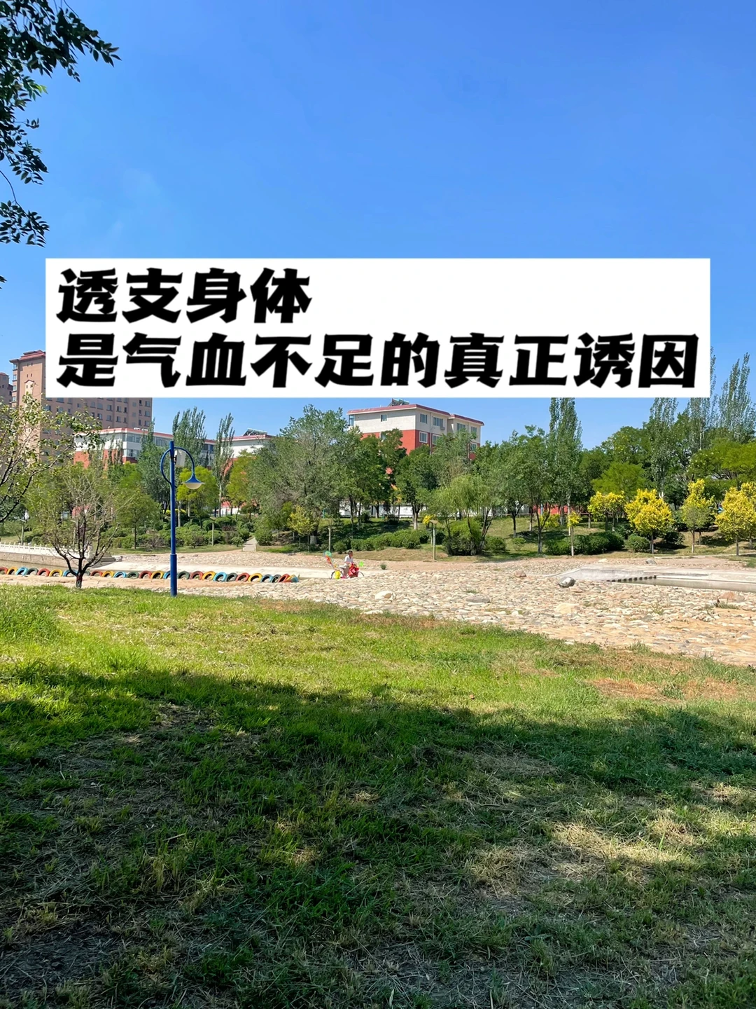 透支身体，才是气血不足的真正诱因.