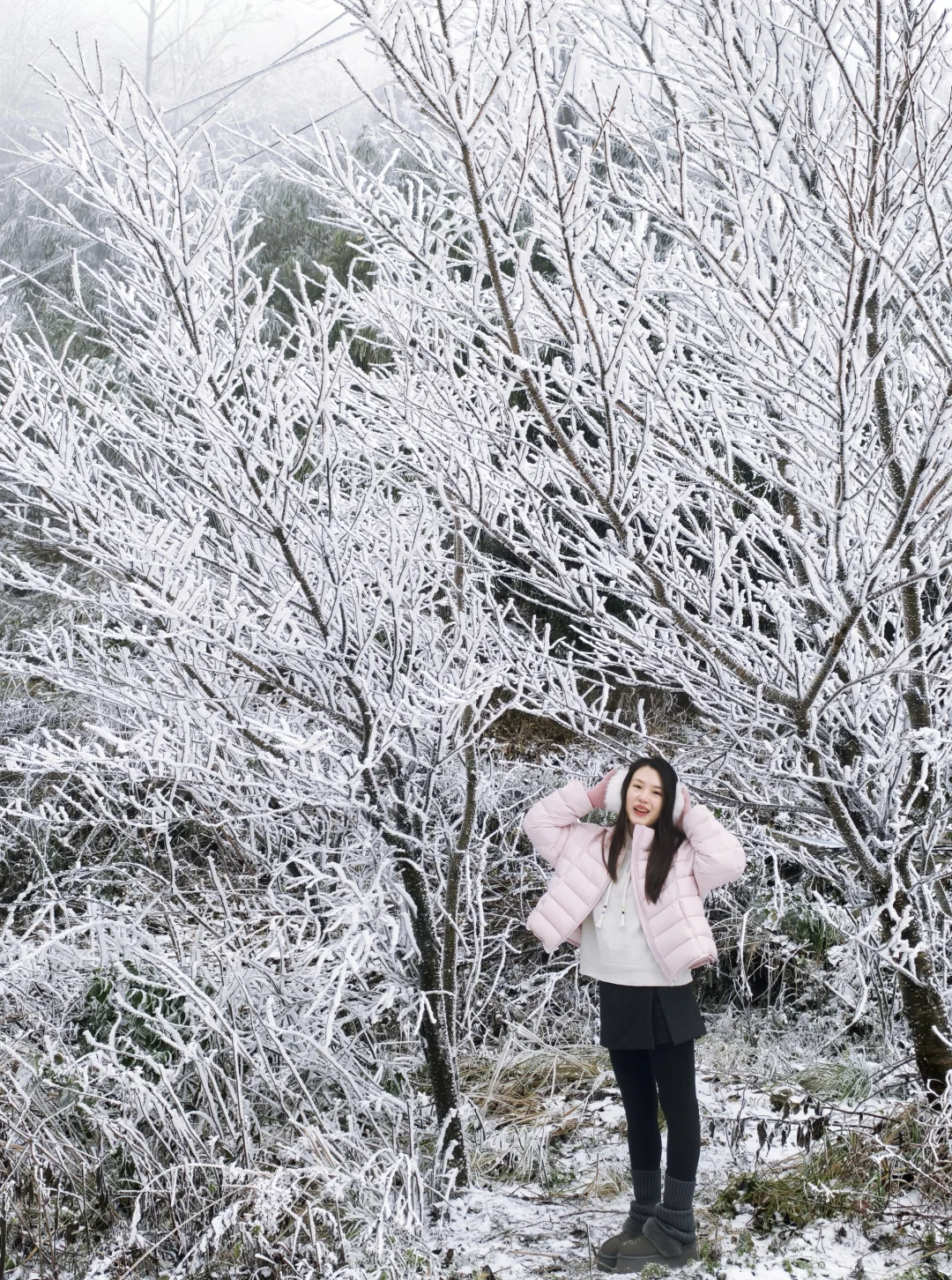 拒绝拥挤❗重庆1.5h🚗周边免费看雪