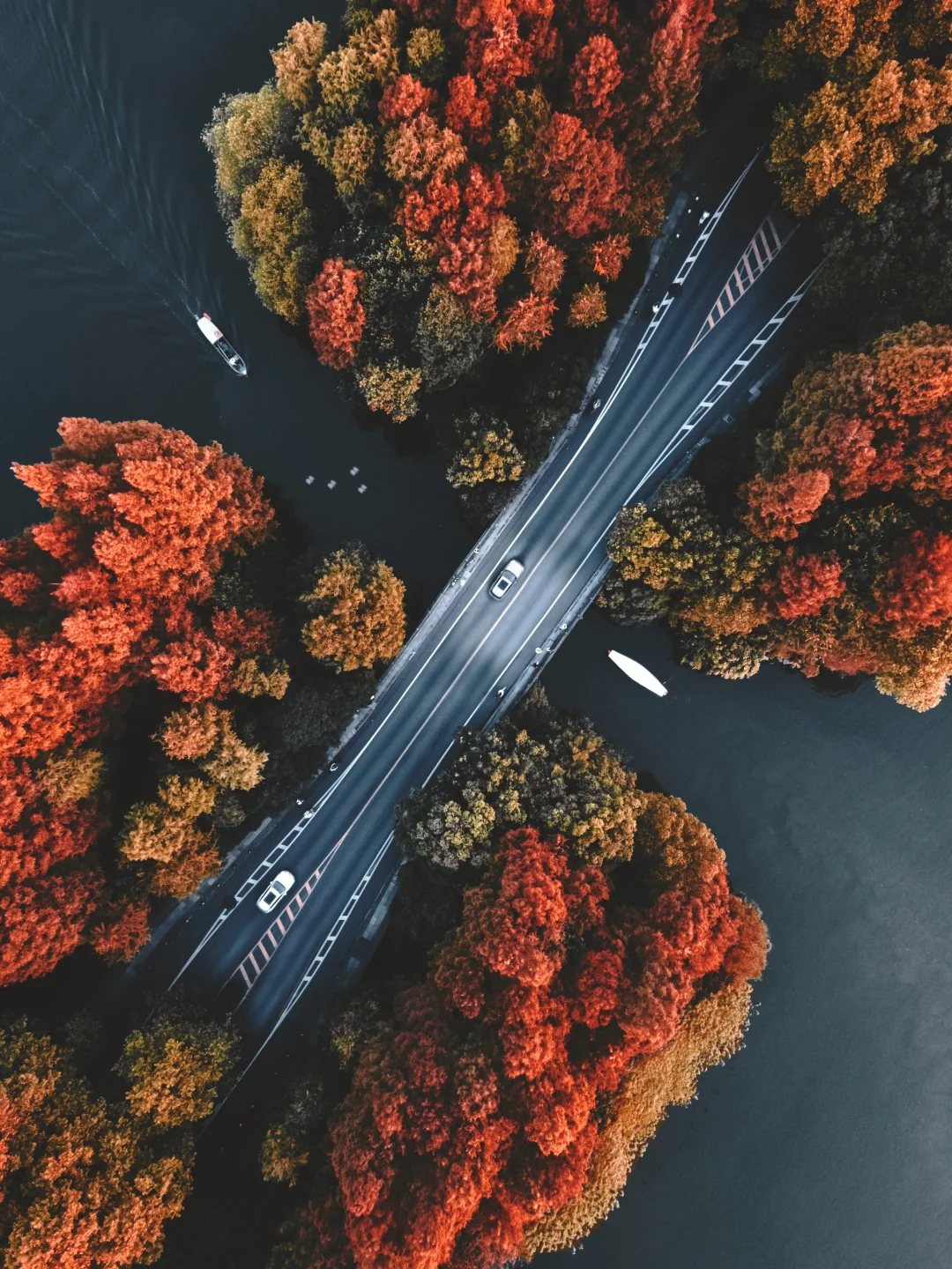 上有天堂，下有苏杭丨航拍邂逅一场苏杭的秋