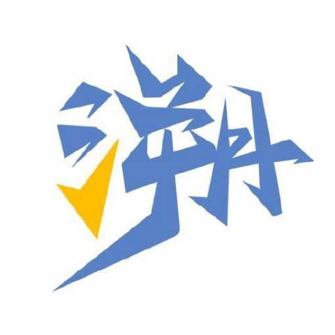 TE溯王者荣耀女队
