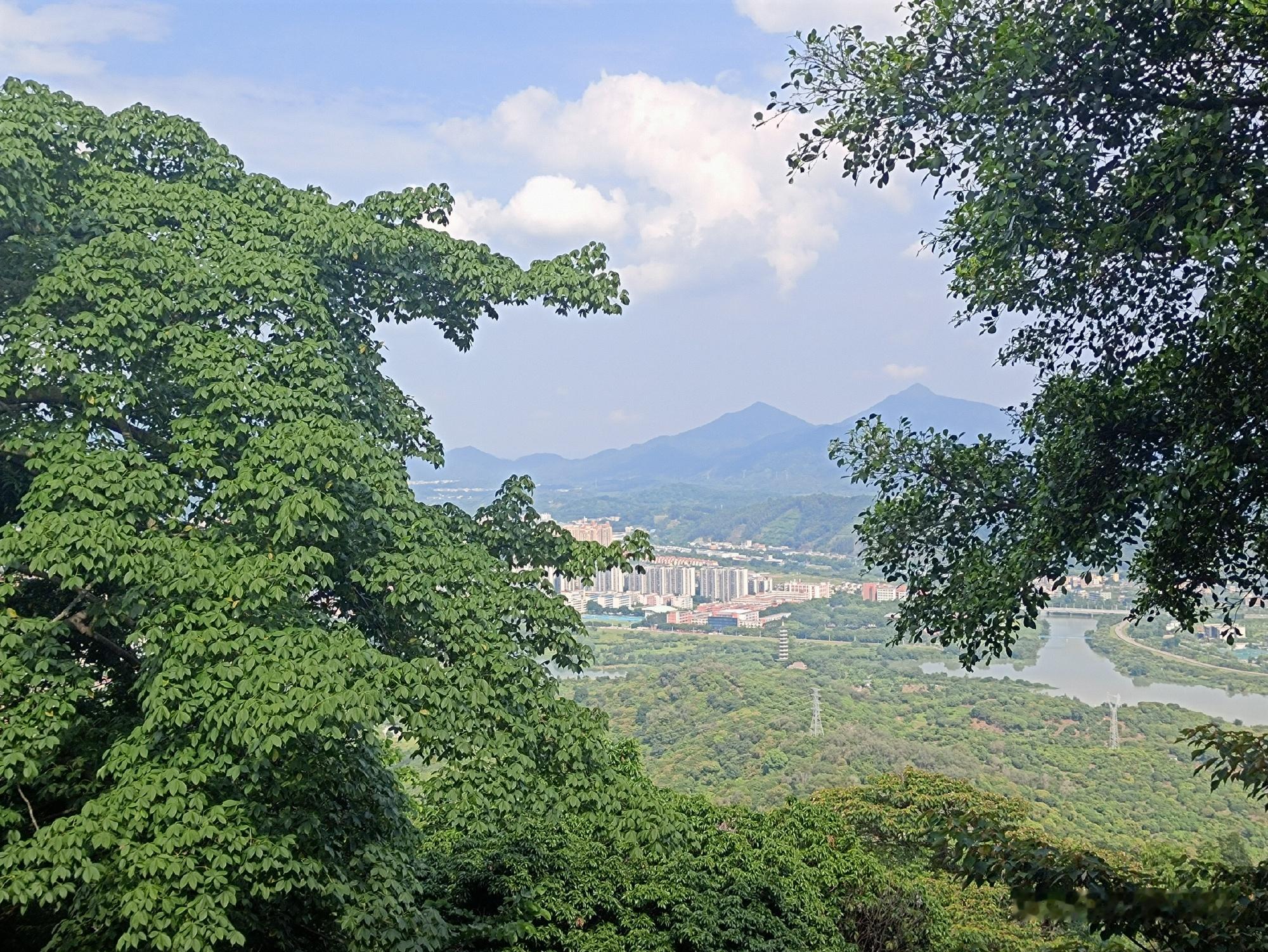一个人有了事业心就会慢慢变得有文化起来！  从化今天的天气终于好起来了...