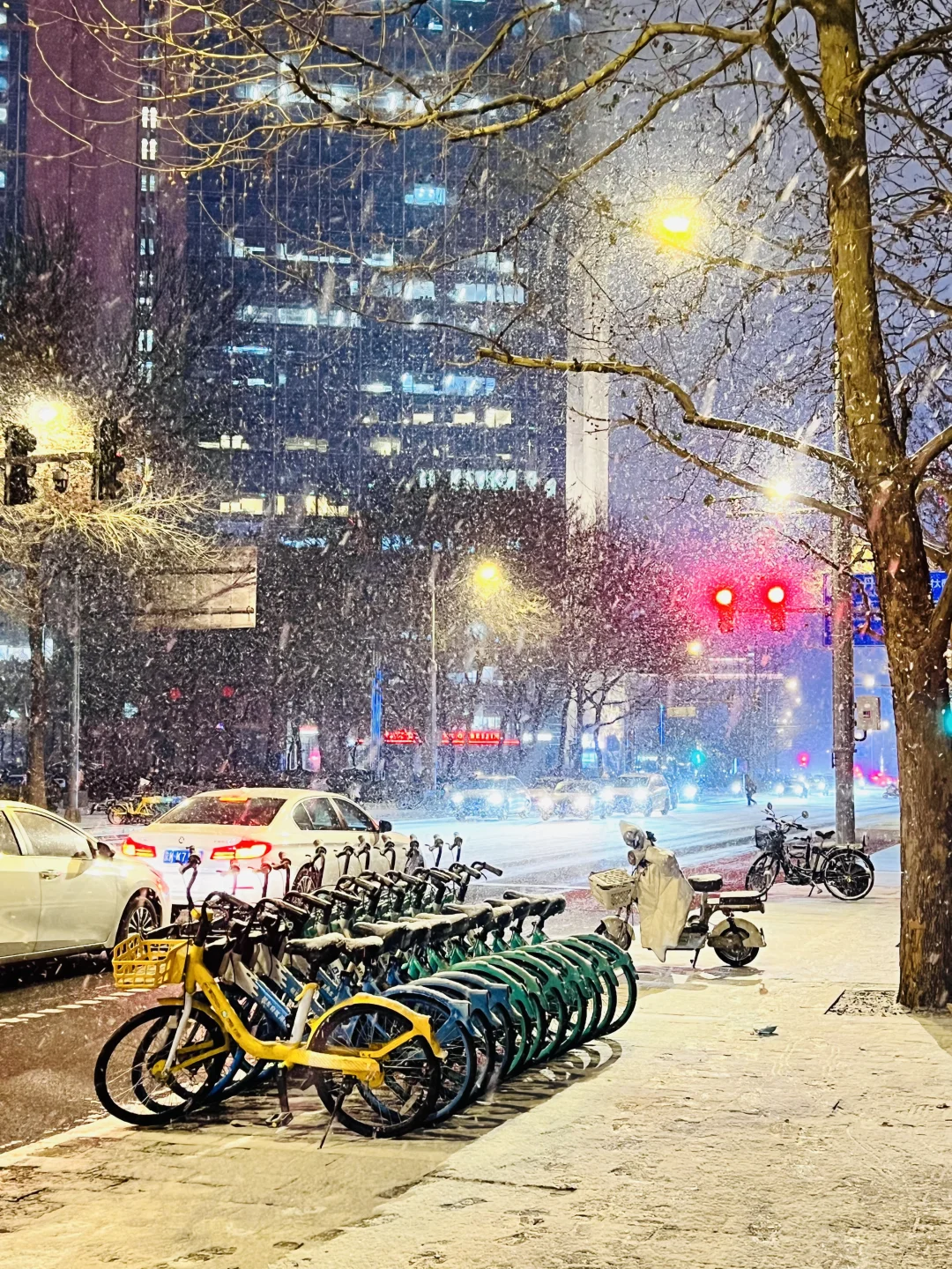 此刻的北京❗漫天飘雪❄