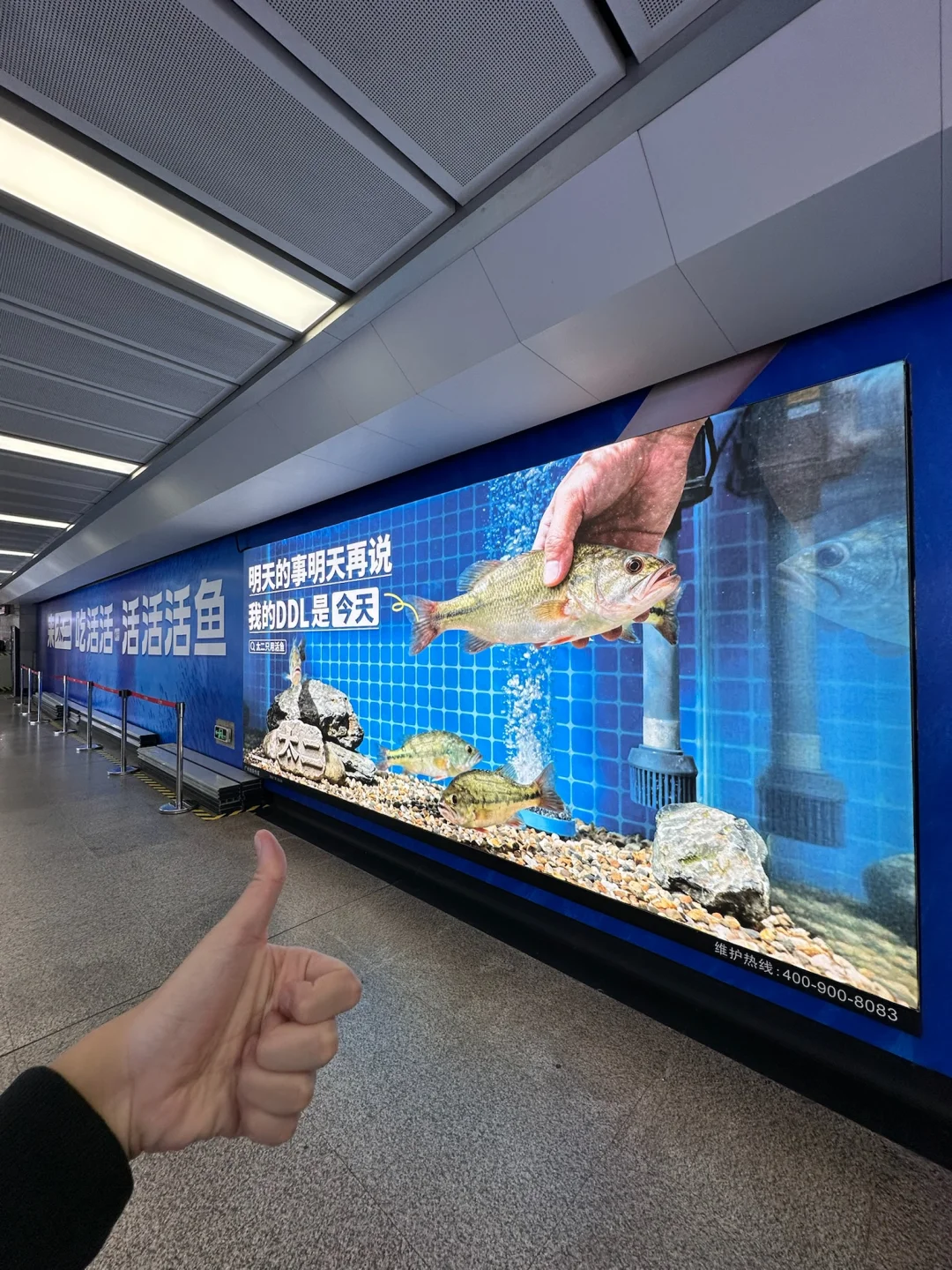 地铁站看到的！好疯啊！