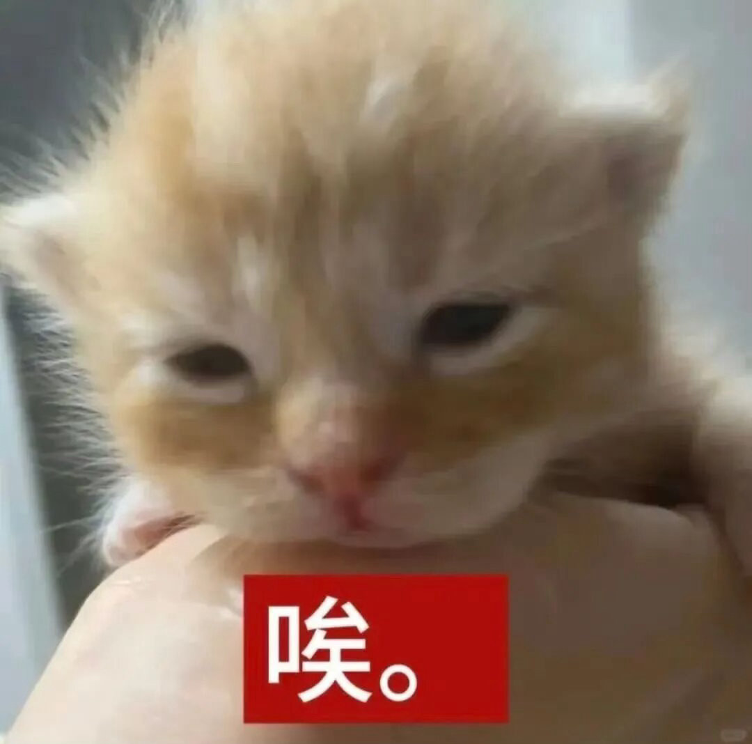 带文字的小猫咪表情包
