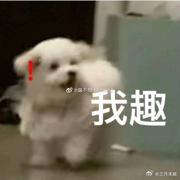 我趣我们老板巨搞笑每次说到什么婚恋问题。第一句就是“她喜欢女的”(指我...