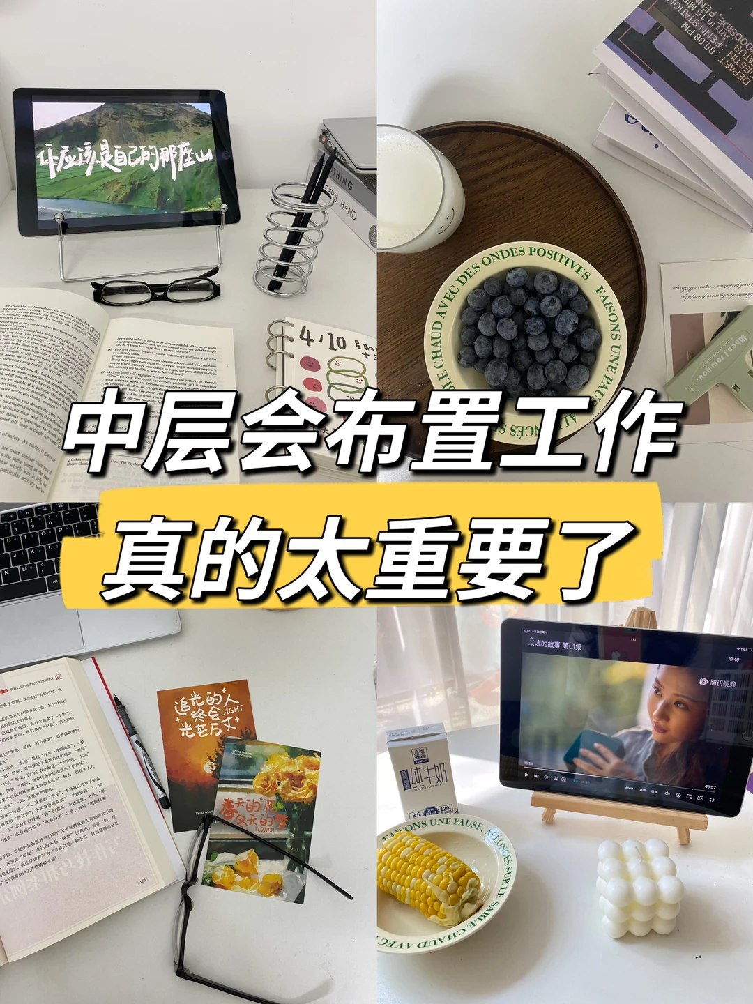 中层会布置工作，真的太重要了🔥