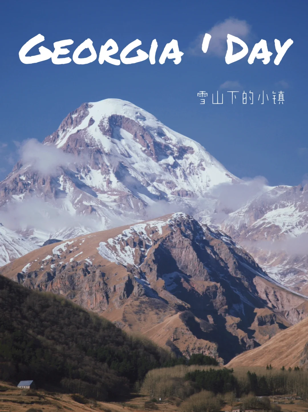 格鲁吉亚物价多便宜？5万块真的能买房🏨？