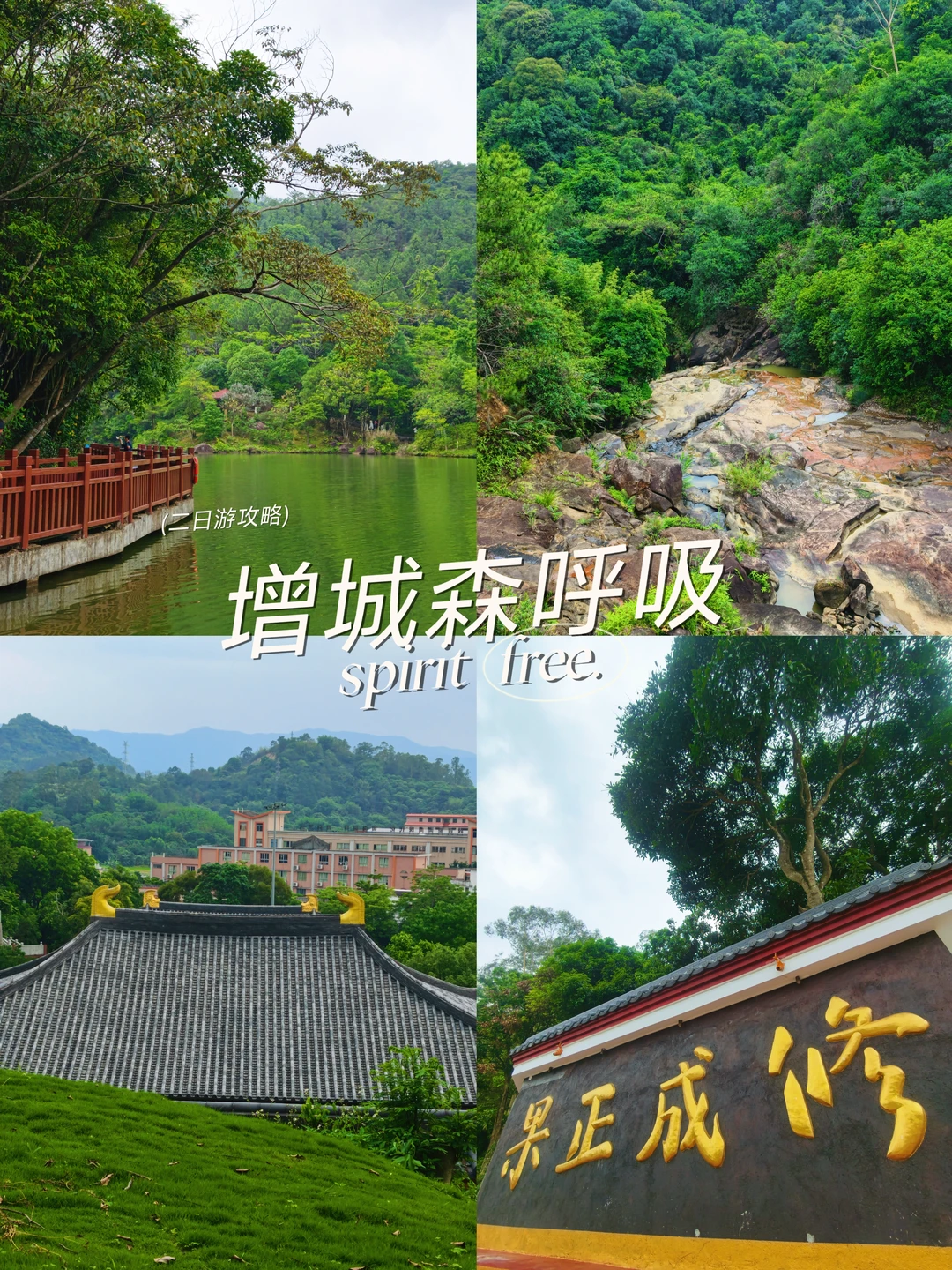 广州增城森呼吸🌿从绿野仙踪到人间烟火✨