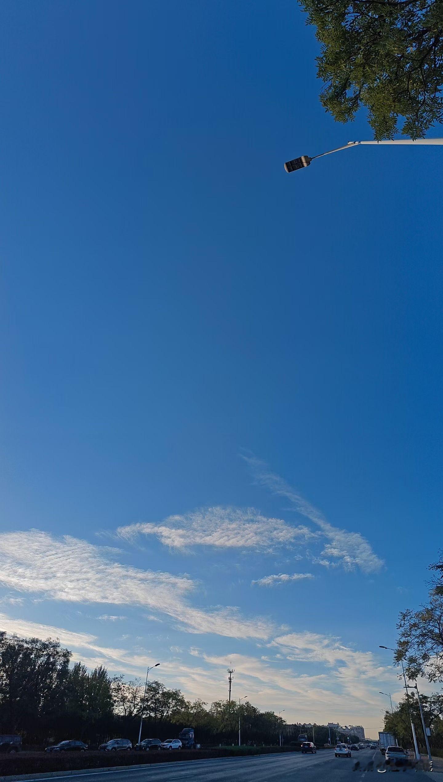 🍁谷歌疯了！新AI又快又便宜还免费，奥特曼连夜翻简历找新工作？🍁 ...