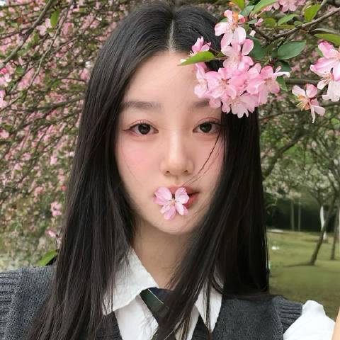 蓟海棠