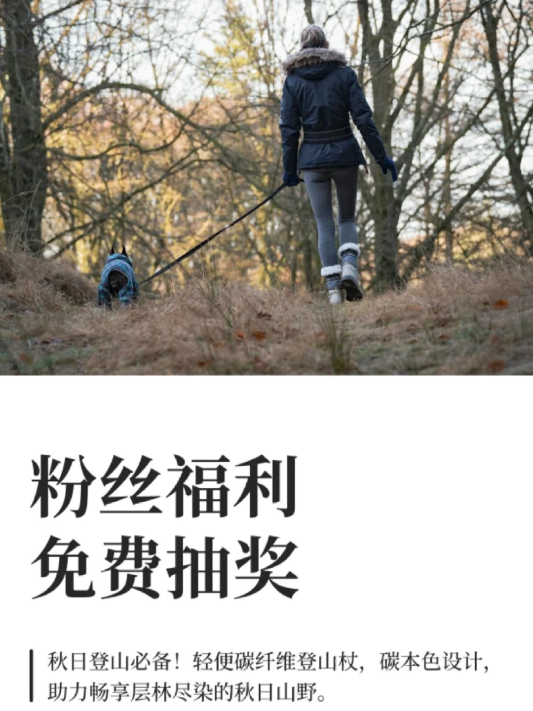 宠粉福利：徒步爬山必备，登山杖送有缘人