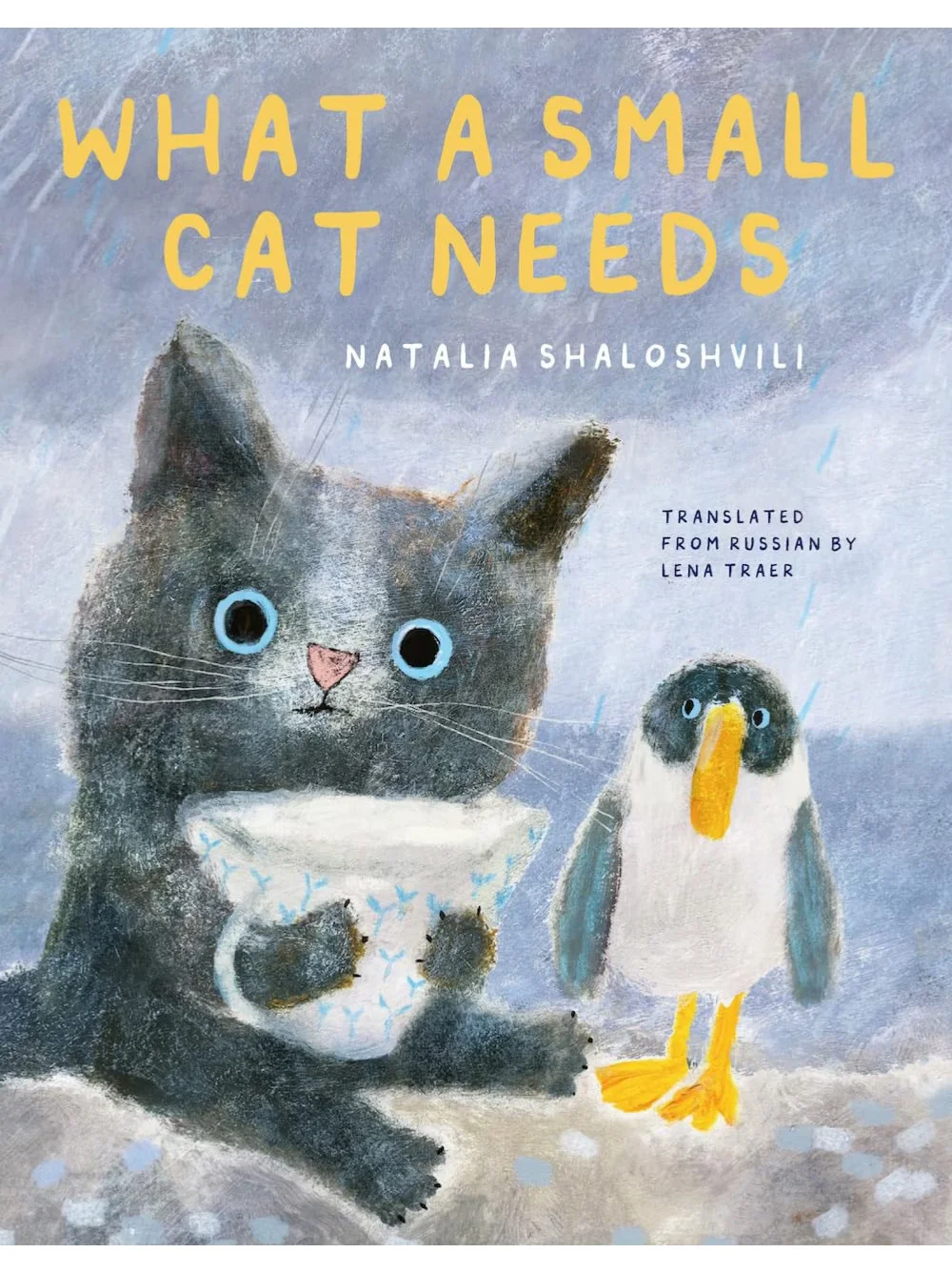 Natalia Shaloshvili | 一只小猫需要什么？