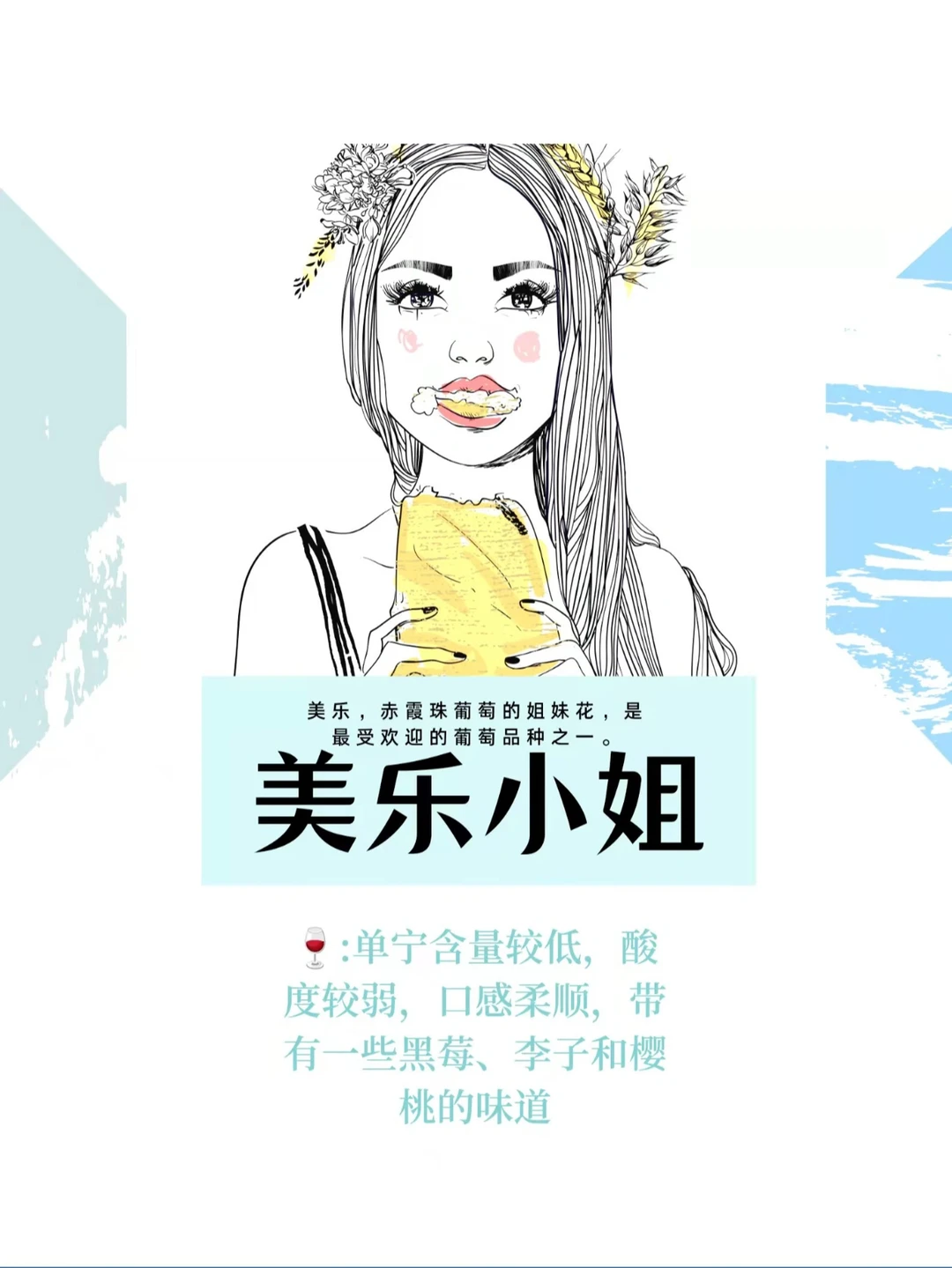 葡萄品种|赤霞珠的“姐妹花”美乐