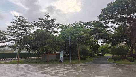 久违行了一转公园，天河公园面积颇大，中心湖水似碧玉。巨木甚多，花木亦属...
