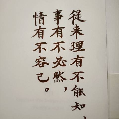 非太阳小黑