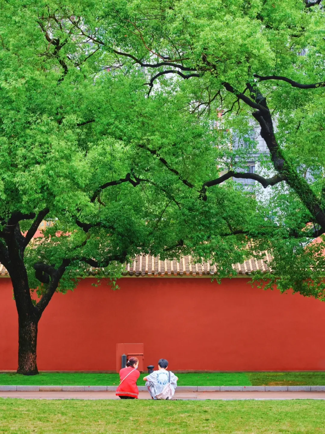 广州农讲所，藏在岭南小故宫的红墙绿意