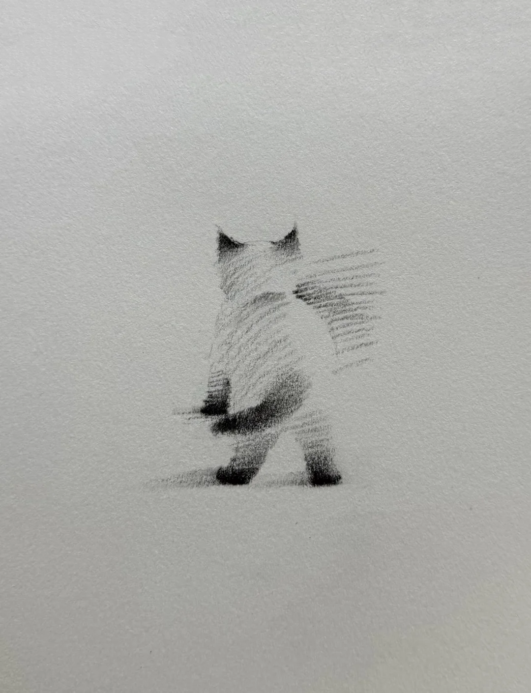 几笔小猫