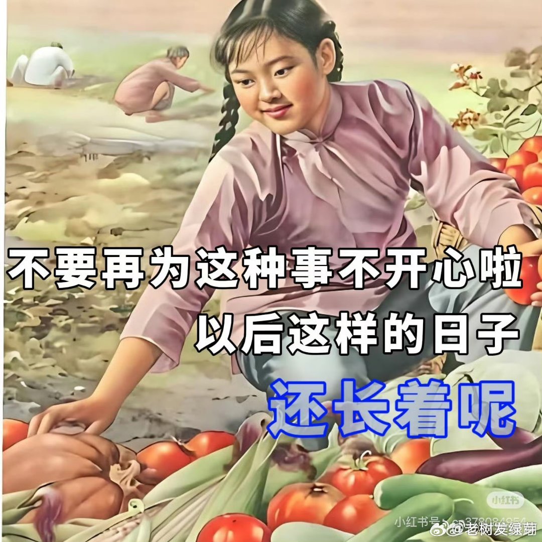 青岛海之恋公园女游客被辱骂事件，从8月4日事发报警到8月20日警方正式立案，整整16天的时间差成为全网对“处理时效”的最大质疑焦点。 一、事件时间线与处置节点- 事发经过：8月4日，一名26岁外地女游