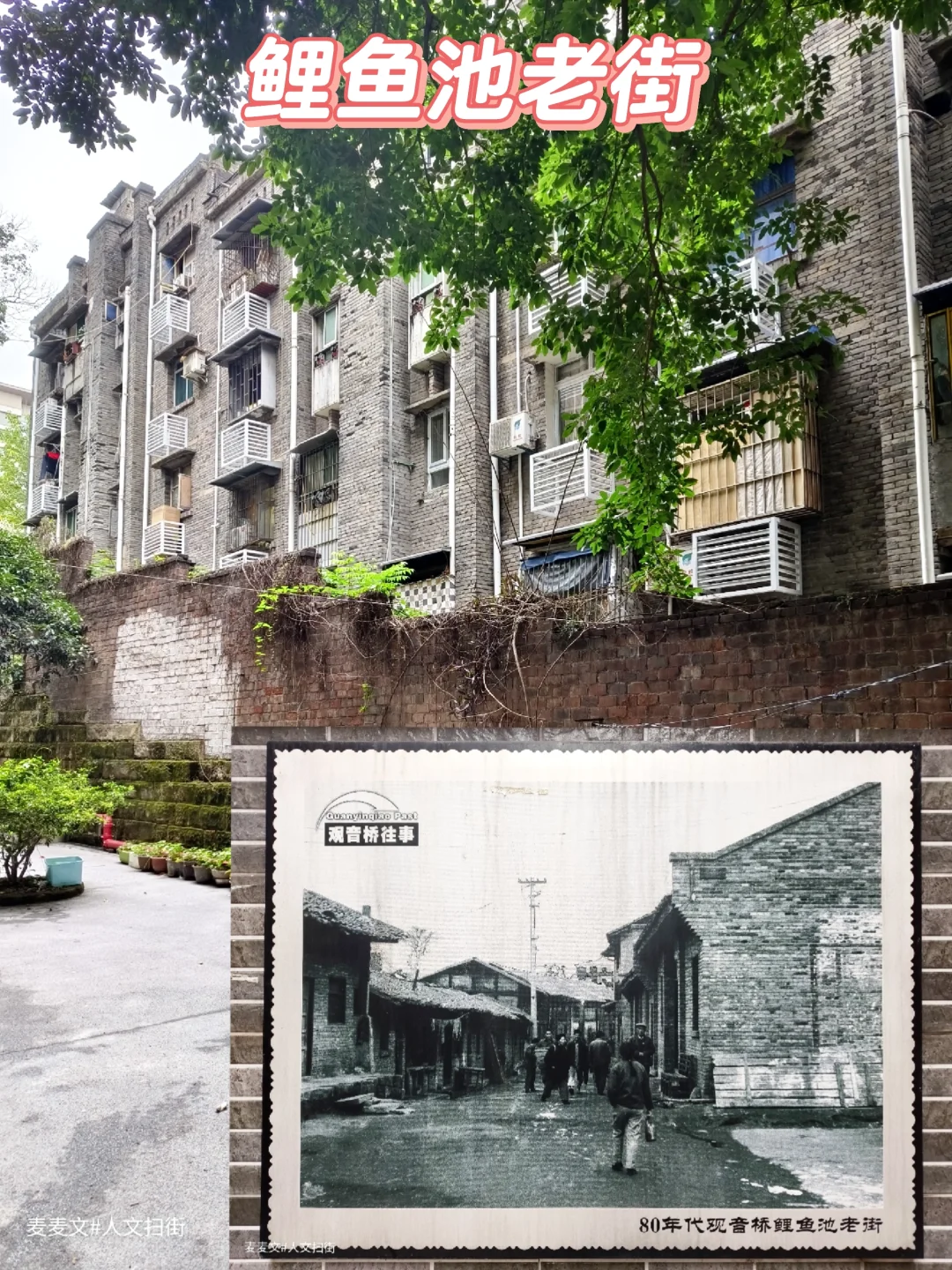 【江北】鲤鱼池老街的黑白记忆墙太戳心