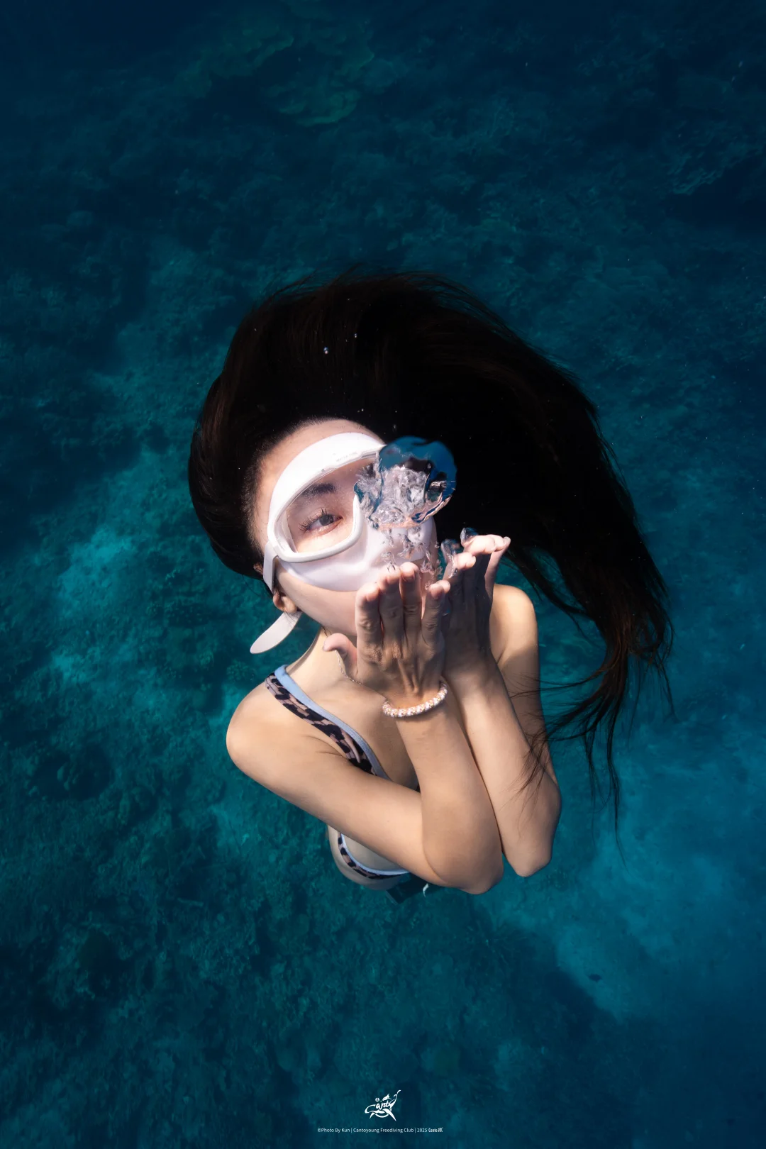 啊～Bu 🫧🫧🫧欢迎来到珊瑚🪸宫殿