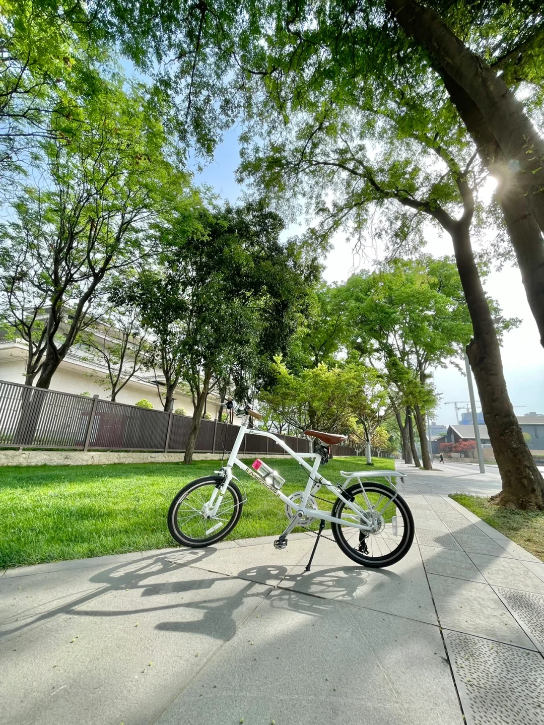 单车骑行｜您好 小白！