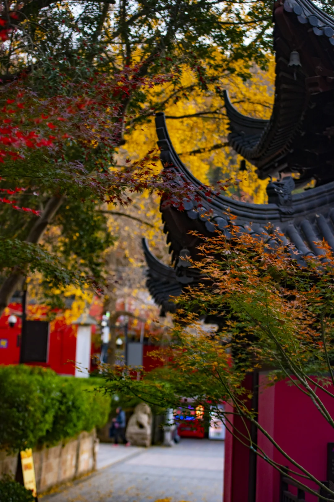 3.8栖霞山免费开放｜所有人免预约直接冲