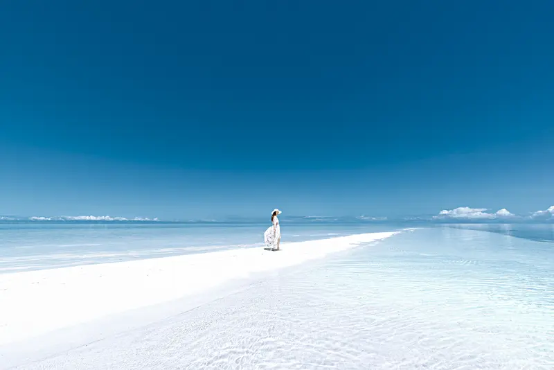 美女热  2025 年，一场“美女热”席卷了整个城市。大街小巷的广告牌...