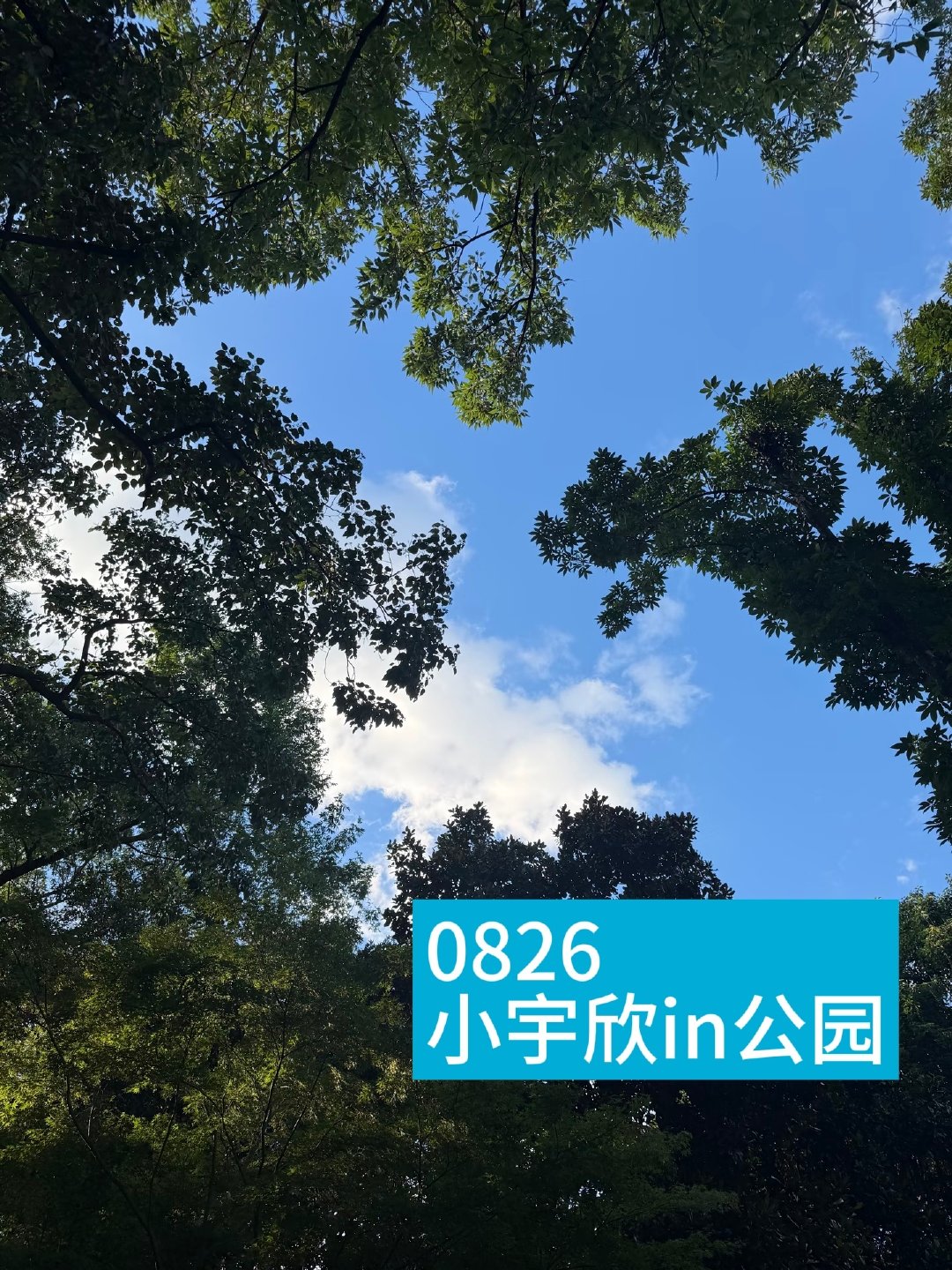 正缘这玩意儿真是说不清道不明
我跟郭宇欣简直绝配啊[泪] ​