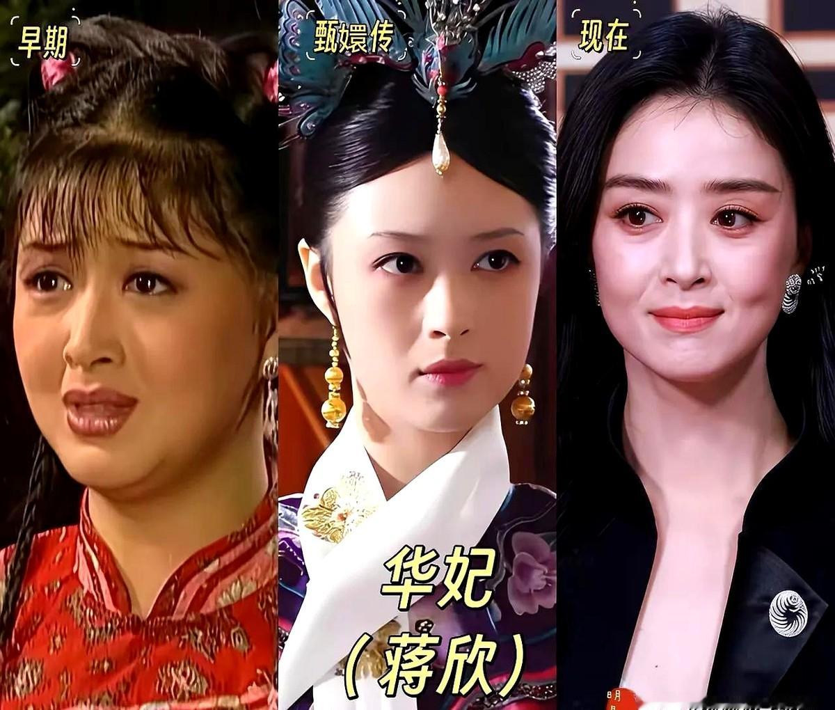 十几年过去，碎玉轩的门槛被观众盘出了包浆，当年那帮女人的脸却走向了完全不同的岔路口。

华妃曾翻个白眼就能把人吓破胆，如今蒋欣褪去珠翠，扎进泥地啃硬骨头。演活了市井大妈，也撑得起职场狠角，硬生生把岁月砸出的痕迹揉碎进了演技。

当年孙俪死磕台词，蔡少芬拍着桌子痛哭，配角们也拿命把人物刻进骨血。十几年