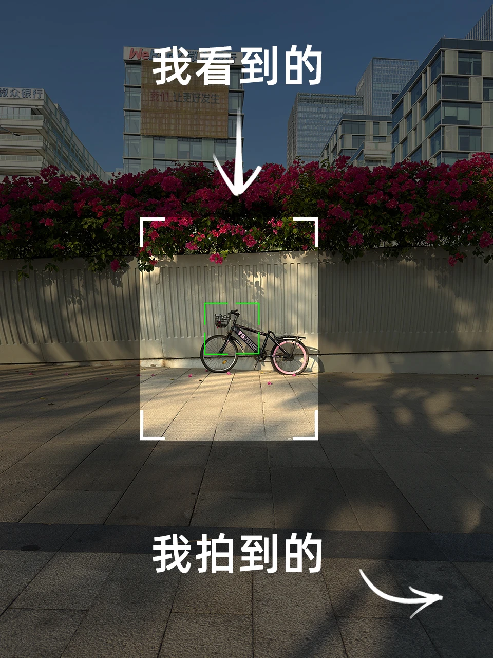 我看到的VS我拍到的 | 培养摄影眼09