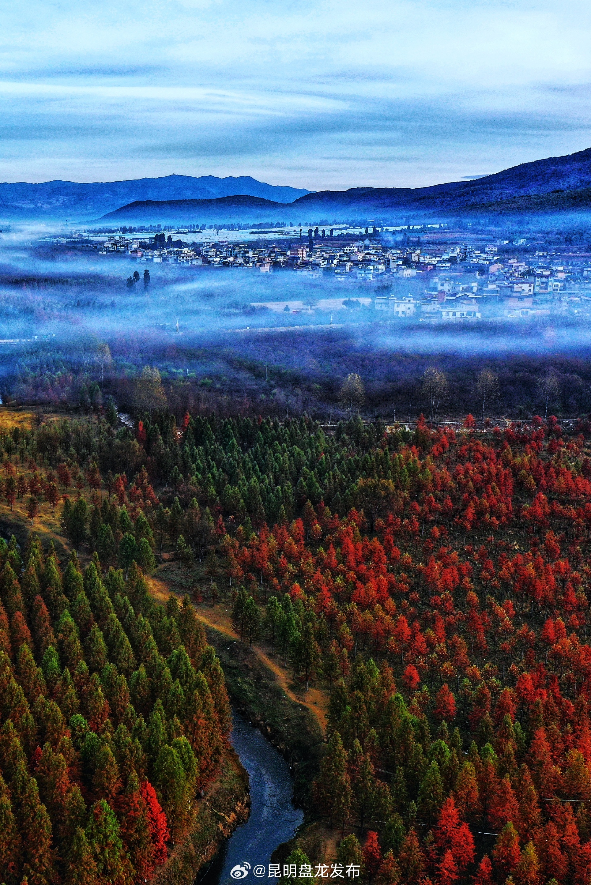 山水花都 【山湖藏诗意 繁花入城来 绘就“幸福盘龙”生态新画卷】多年来...