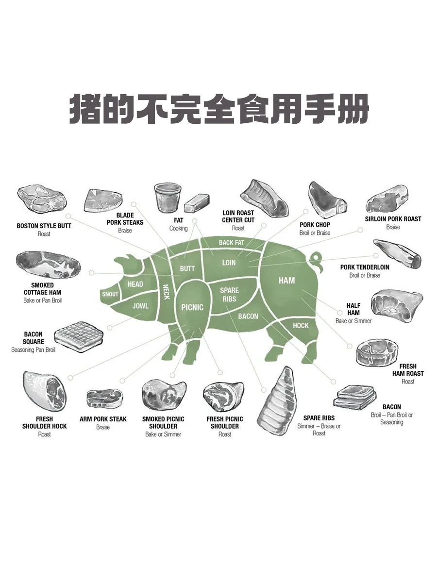 猪的不完全食用手册，请仔细阅读