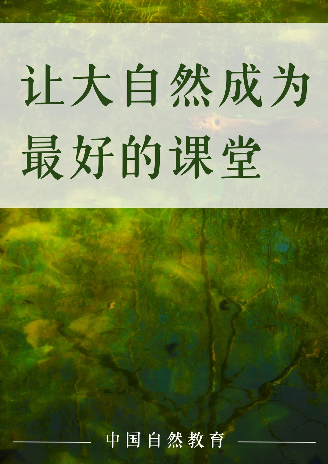 自然教育｜让大自然成为最好的课堂