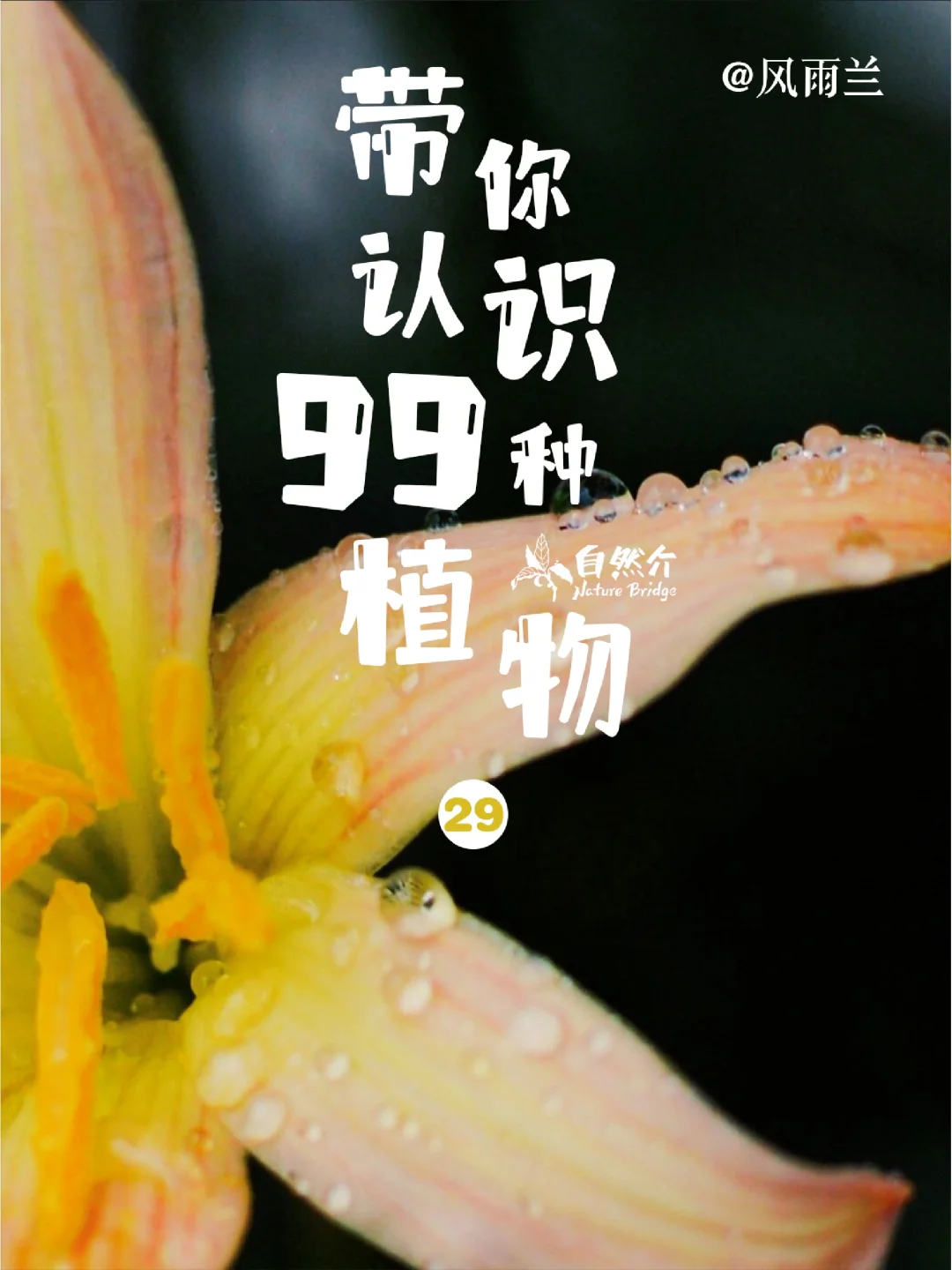 带孩子认识99种植物