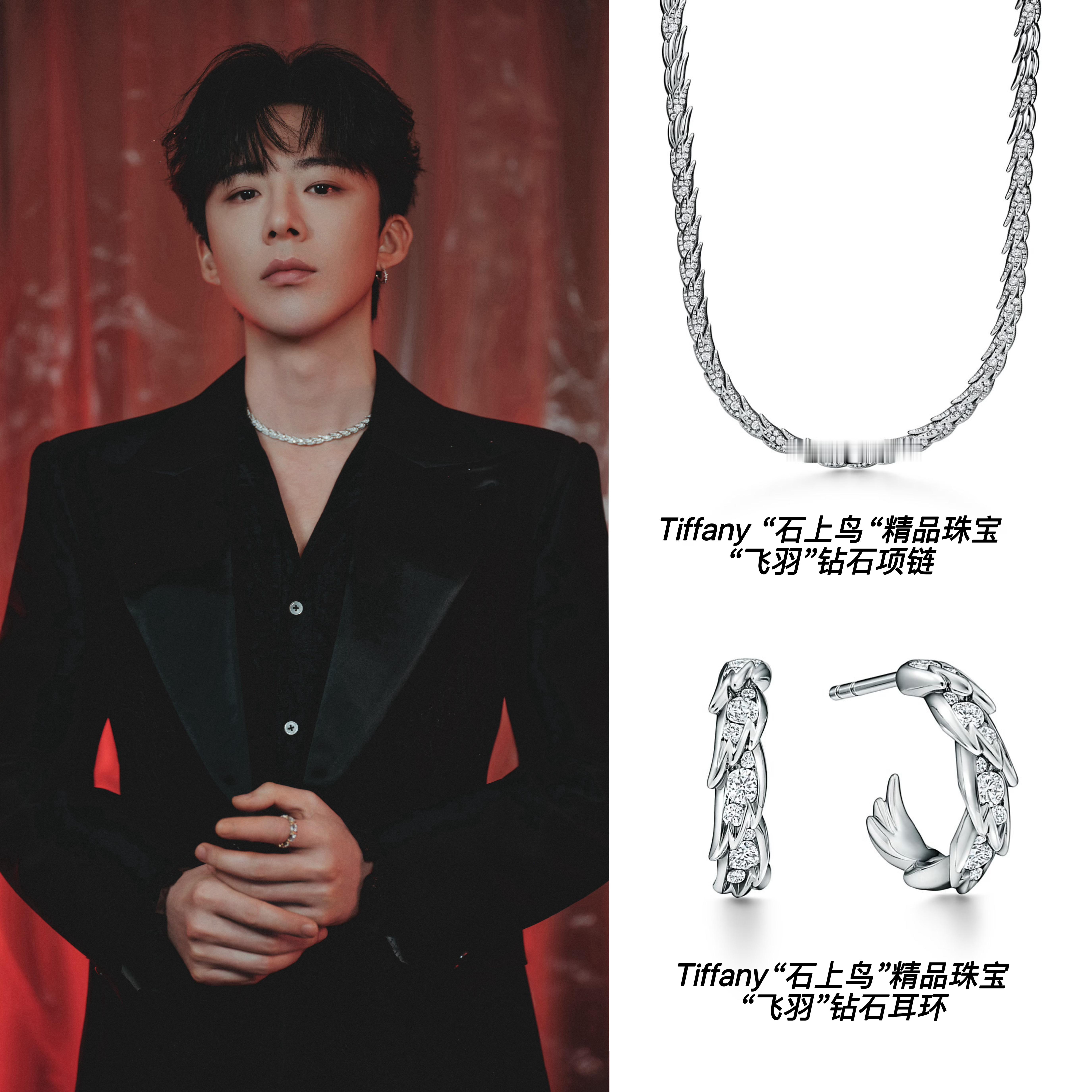 #2026湾区升明月# 演员张若昀、侯明昊及歌手刘宇宁等明星一同亮相，星光齐聚，共庆美好时刻🌕#Tiffany##蒂芙尼高级珠宝#

张若昀 佩戴让·史隆伯杰高珠胸针和十六石戒指亮相，精巧率性，绽放璀璨光芒✨

侯明昊 佩戴 Tiffany T 系列与 Hardwear 系列珠宝亮相，举手投足间尽显酷飒先锋的飒爽格调；

刘 ​