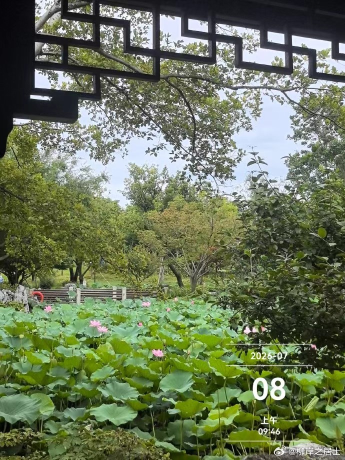 图说【3046】境若天上人间，使人忘尽尘俗    余偕爱女缓步陟南园...