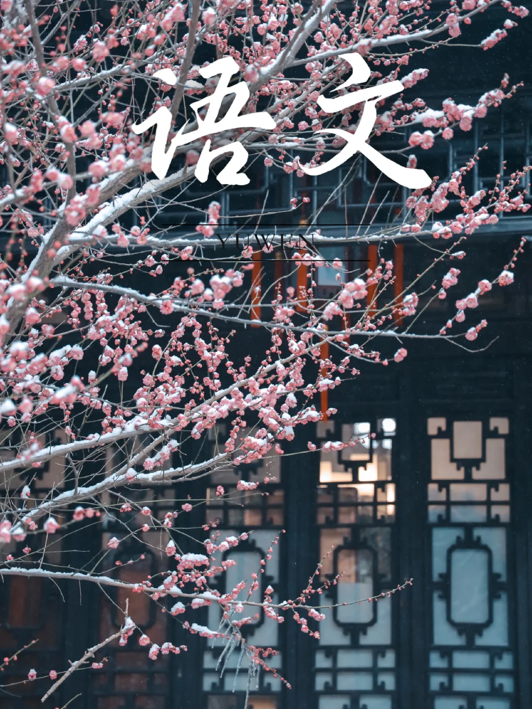 记住它‼️扬州大明寺的梅花很好拍