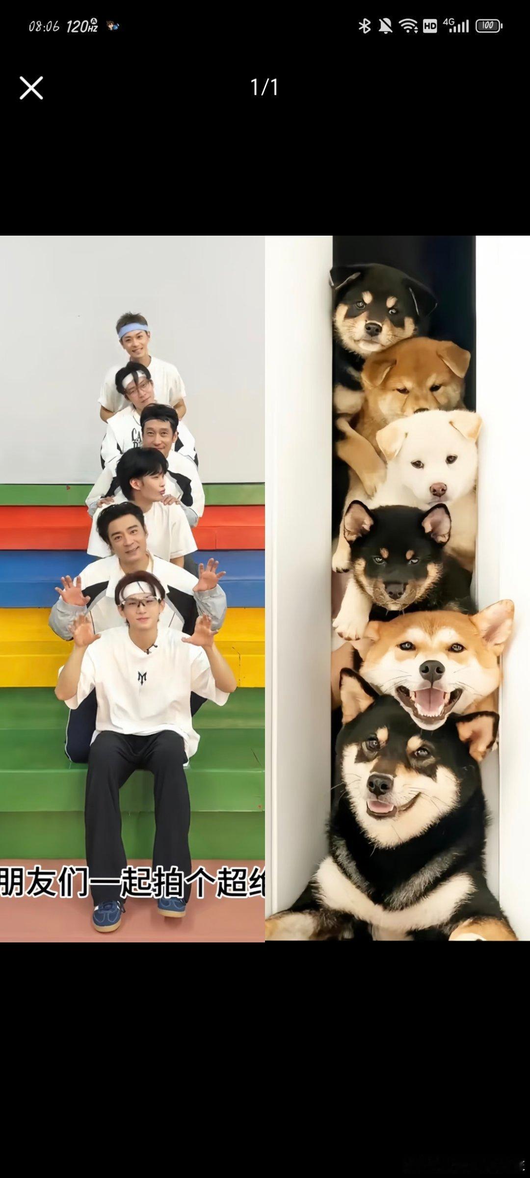 #曹骏[超话]##曹骏五公组队# CJ#姚琛满江李光洁王啸坤曹骏王赫野五公一组# 
可可爱爱六小只，six  Dog，他们还是三只小黑[哈哈][哈哈][哈哈][哈哈][哈哈]
​
